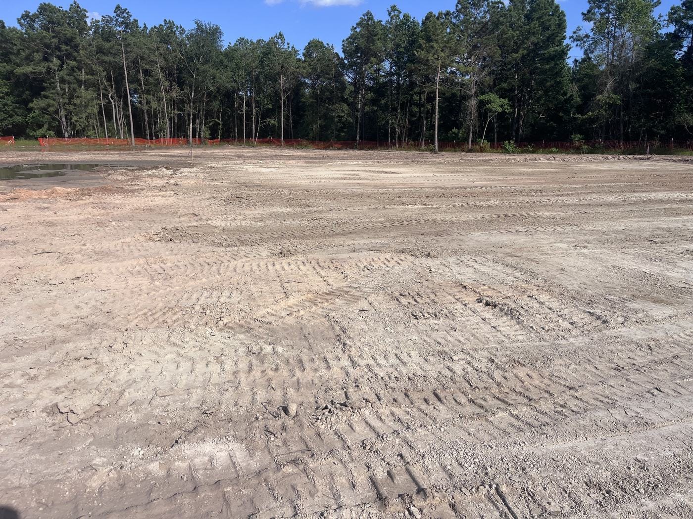Bare graded ground ringed by pine woods and orange safety fence.
