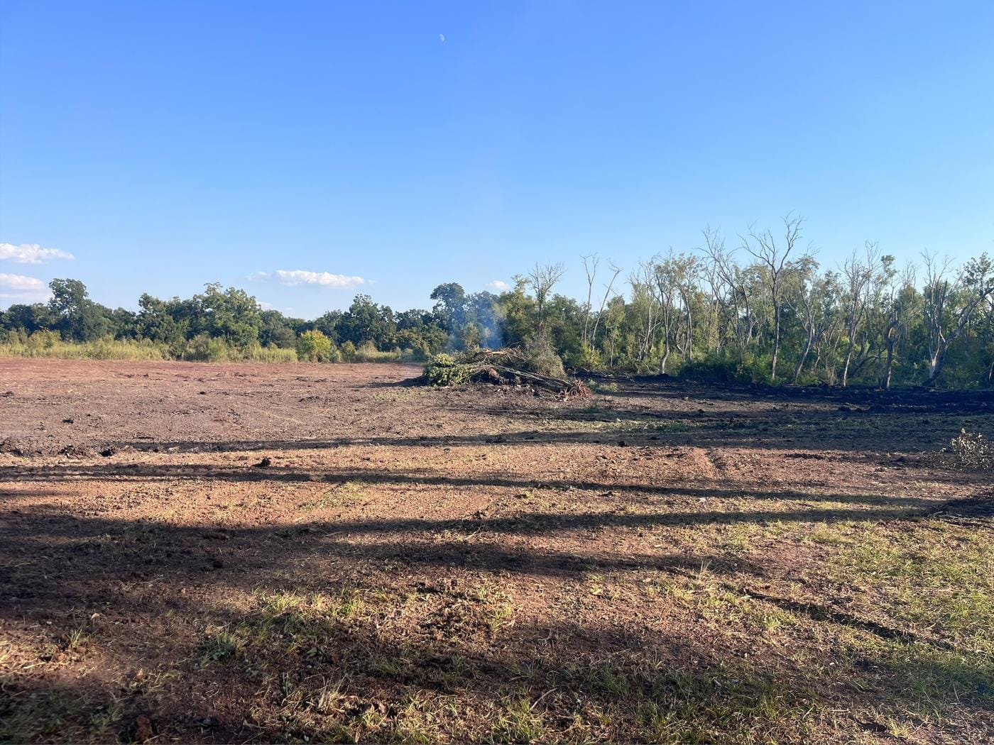 A cleared field, with brush piled at the far tree line.